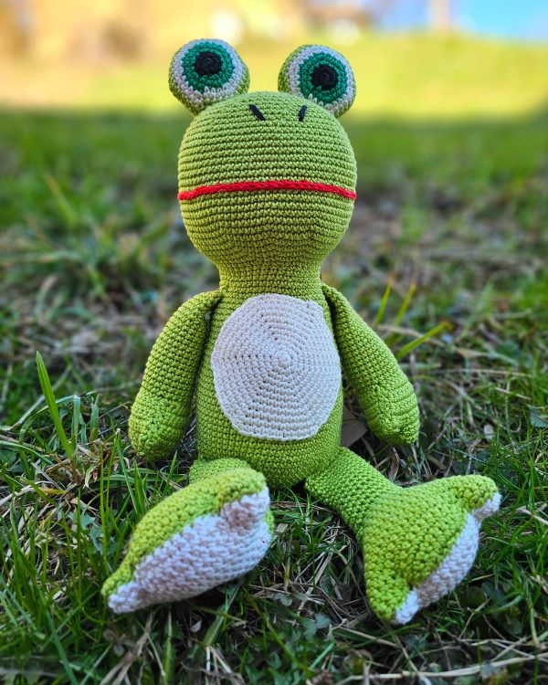 The Frog - Image 2