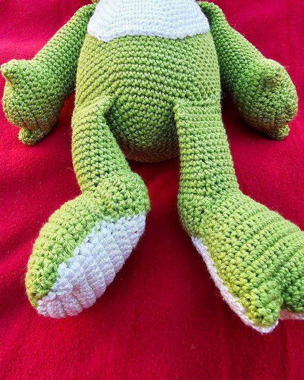 The Frog - Image 5