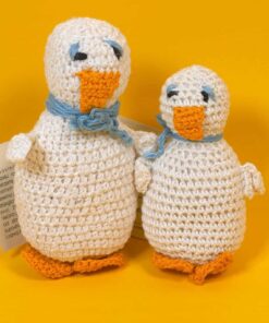 Ducks