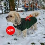 Dog Sweater with Custom Name and Applique
