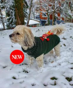 Dog Sweater with Custom Name and Applique