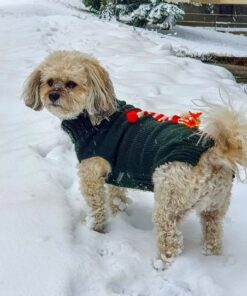 Alternative view of Dog Sweater with Custom Name and Applique