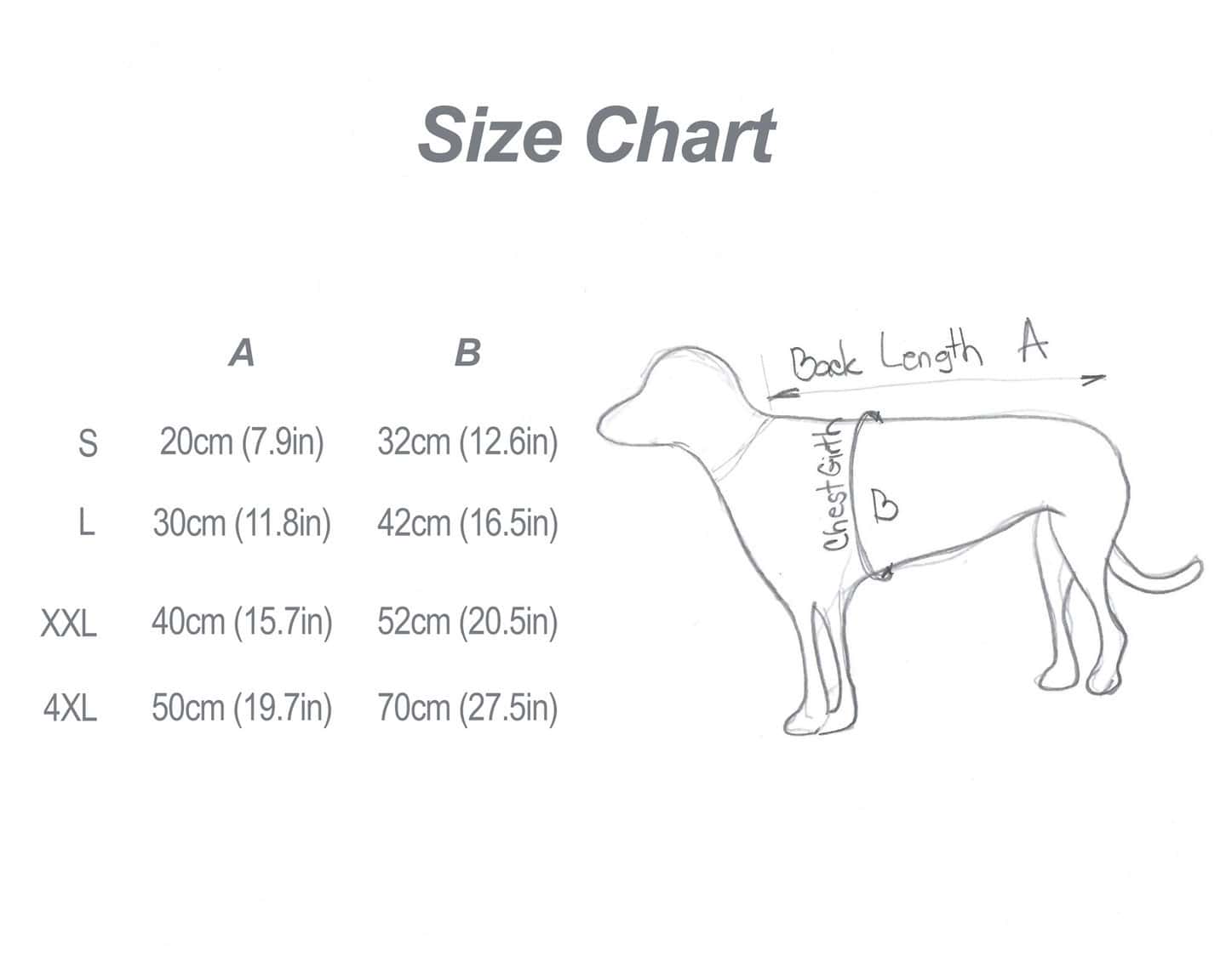 Dog Sweater with Custom Name and Applique - Image 10