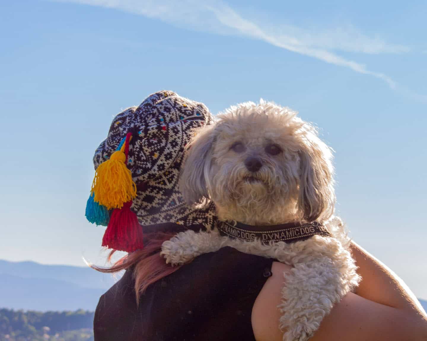 Jacquard Knit Beanie with Earflaps - Image 4