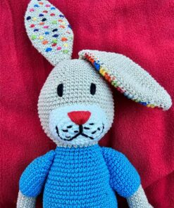 Alternative view of “Risto” the Rabbit
