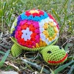 Everyone Loves Turtles!