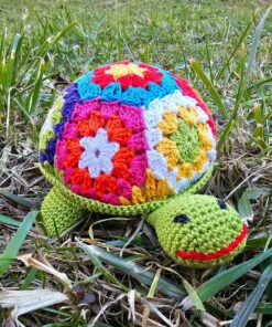 Everyone Loves Turtles!